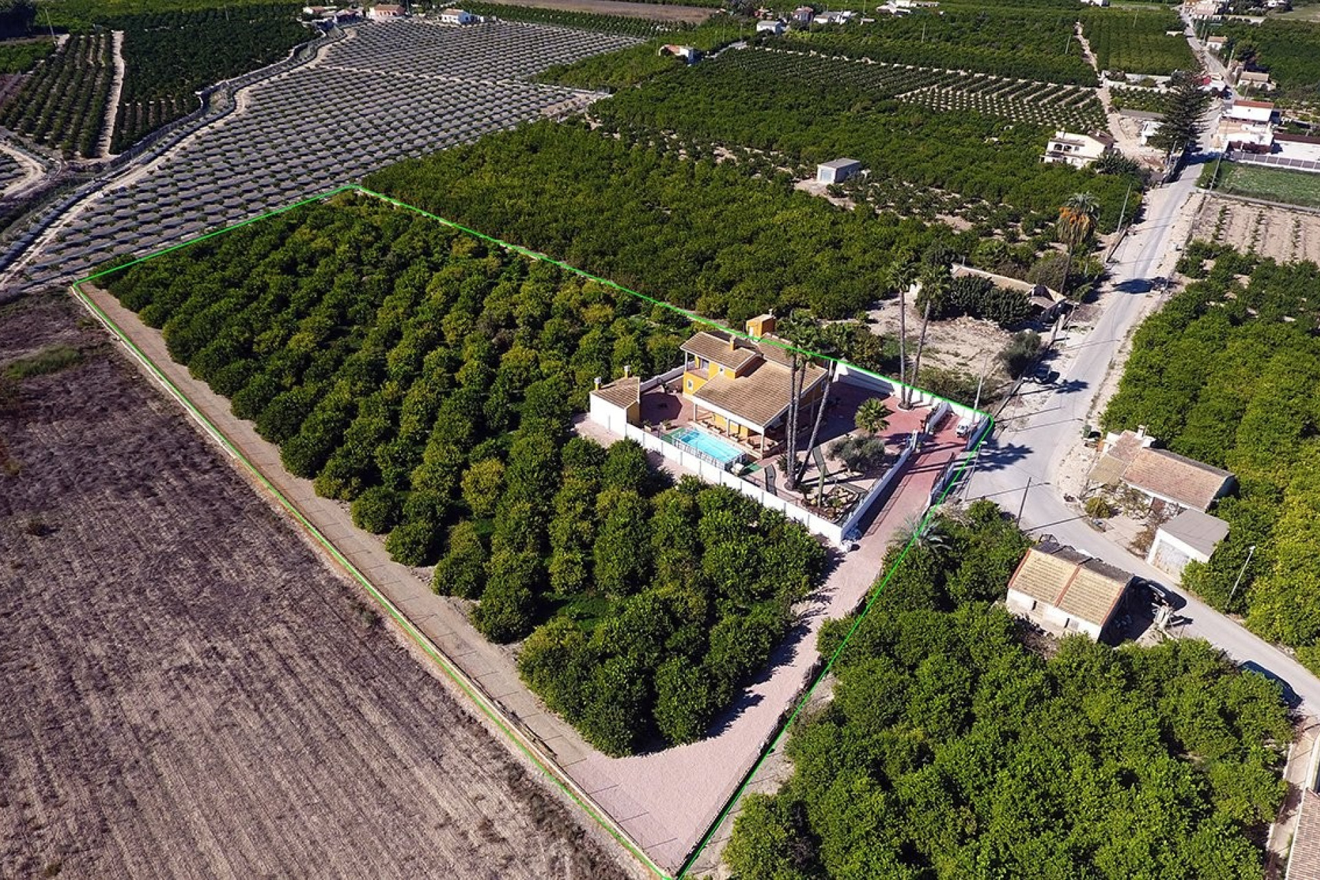 Reventa - Finca / Propiedad de Campo - Orihuela