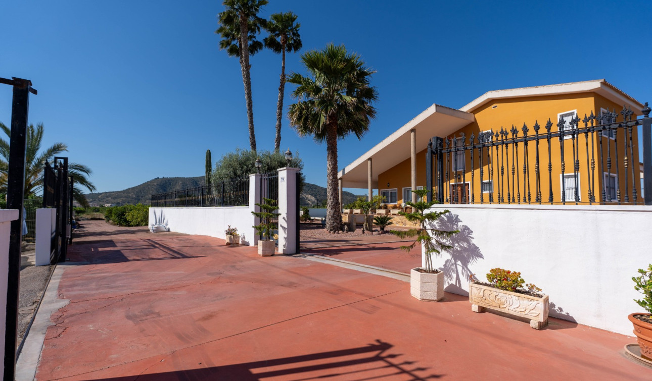 Reventa - Finca / Propiedad de Campo - Orihuela