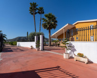 Reventa - Finca / Propiedad de Campo - Orihuela