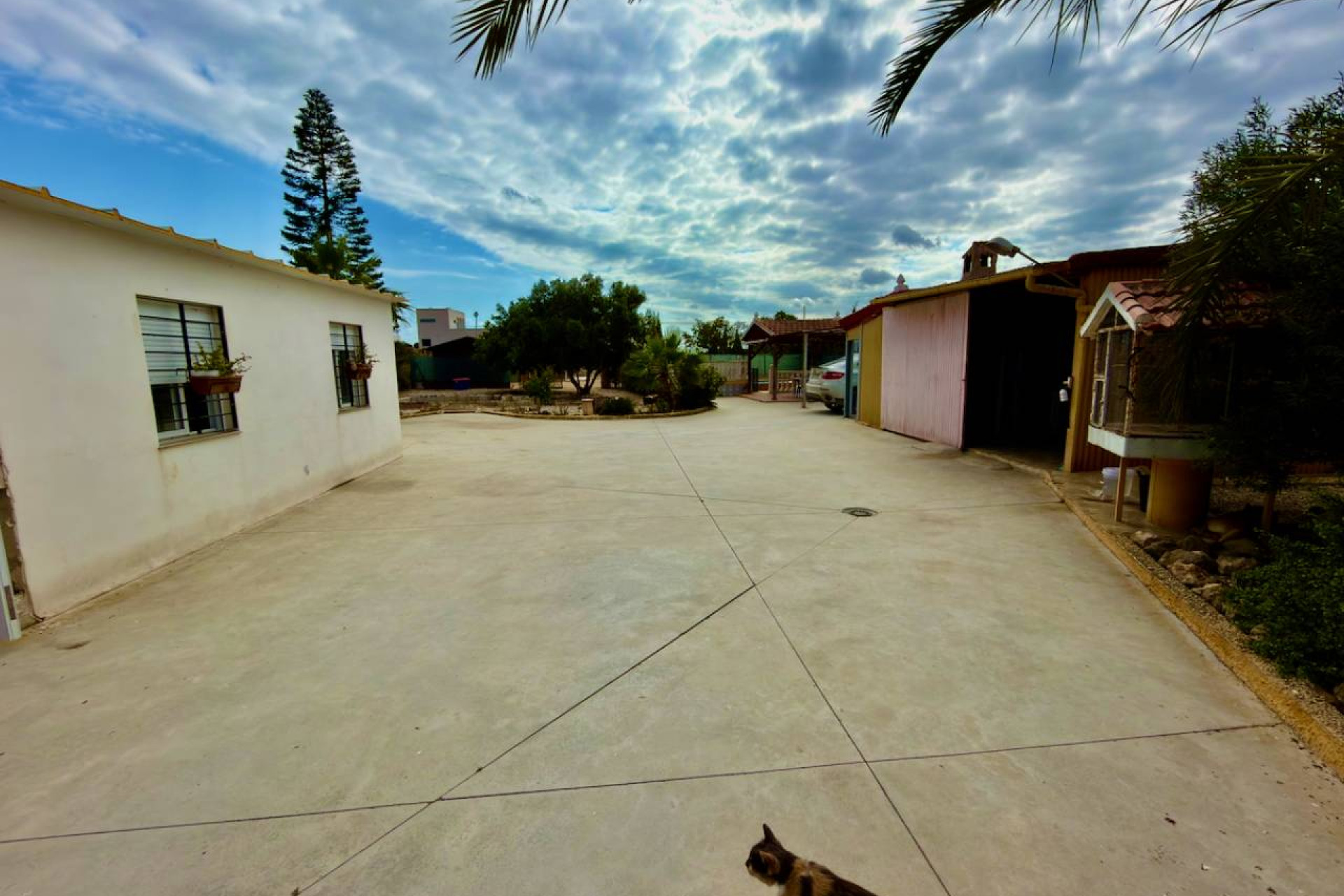 Reventa - Finca / Propiedad de Campo - San Fulgencio - La Marina