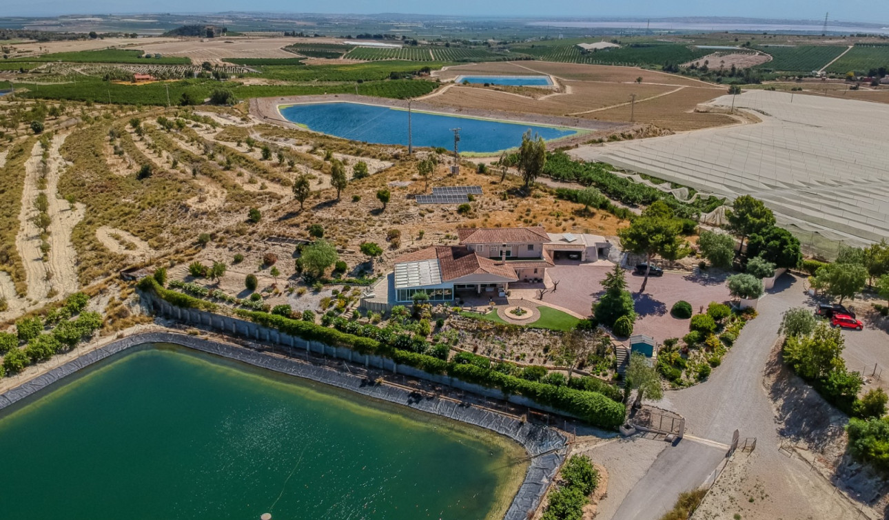 Reventa - Finca / Propiedad de Campo - San Miguel de Salinas - Torremendo