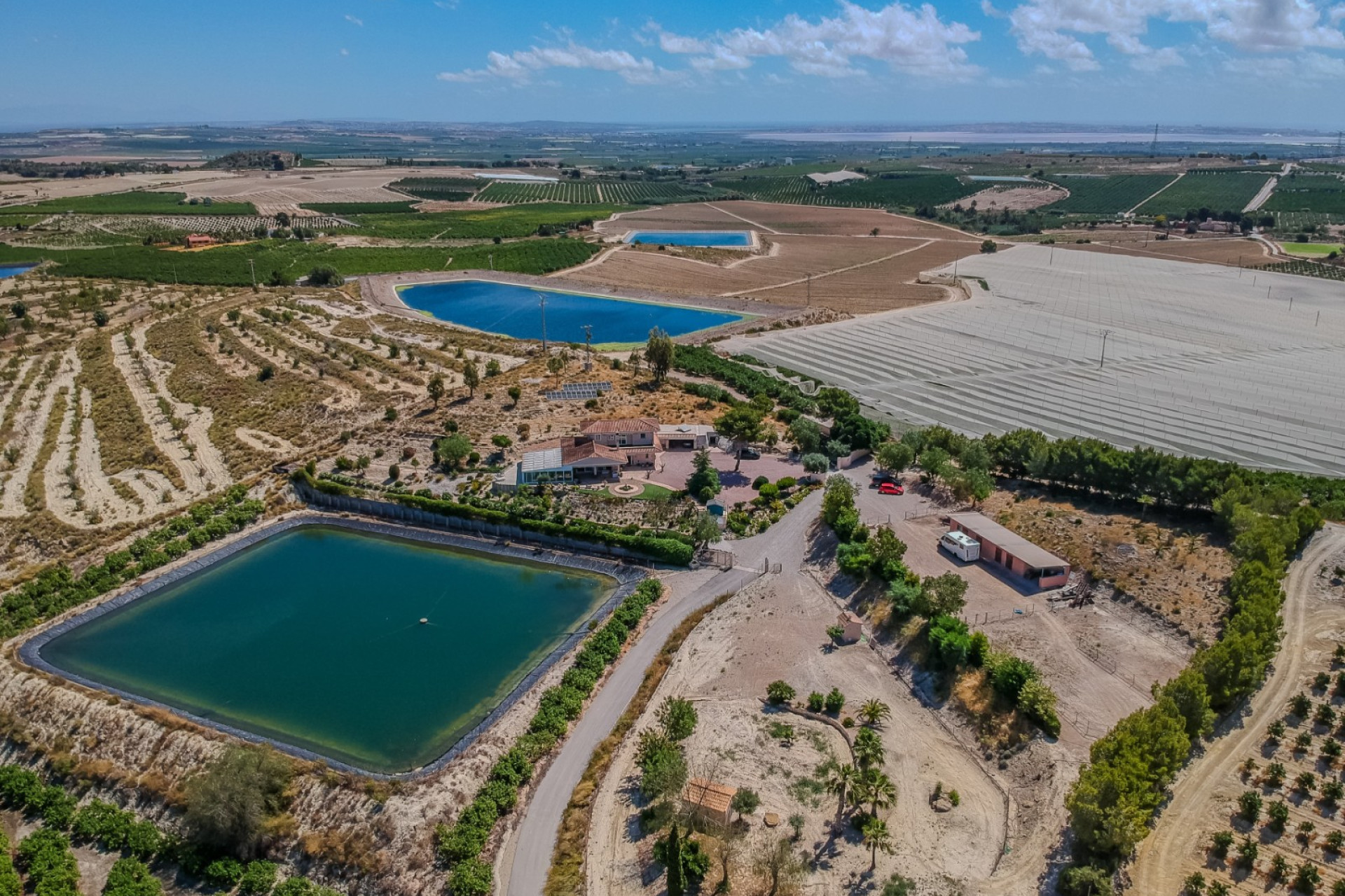 Reventa - Finca / Propiedad de Campo - San Miguel de Salinas - Torremendo