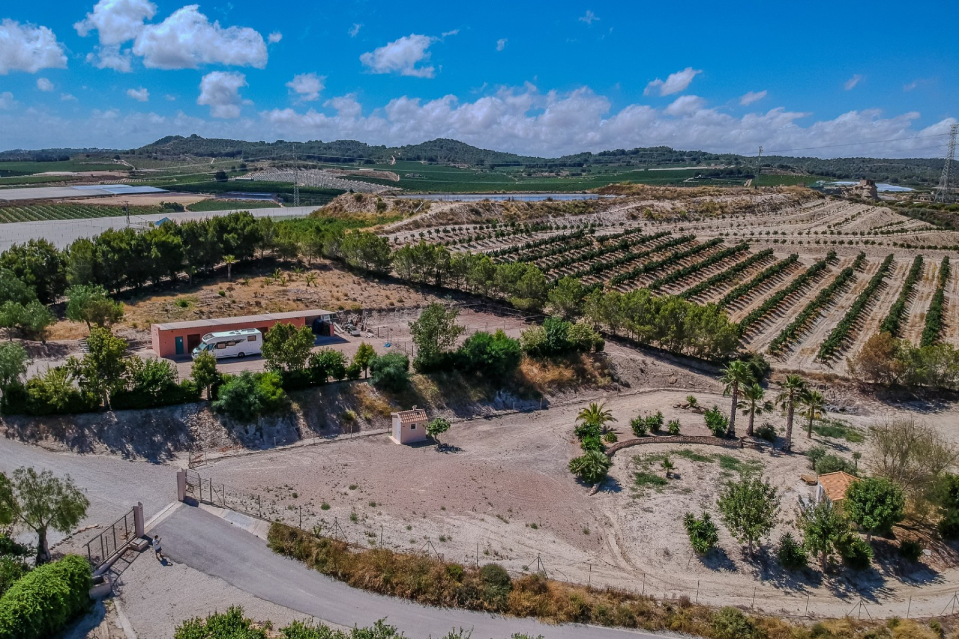 Reventa - Finca / Propiedad de Campo - San Miguel de Salinas - Torremendo