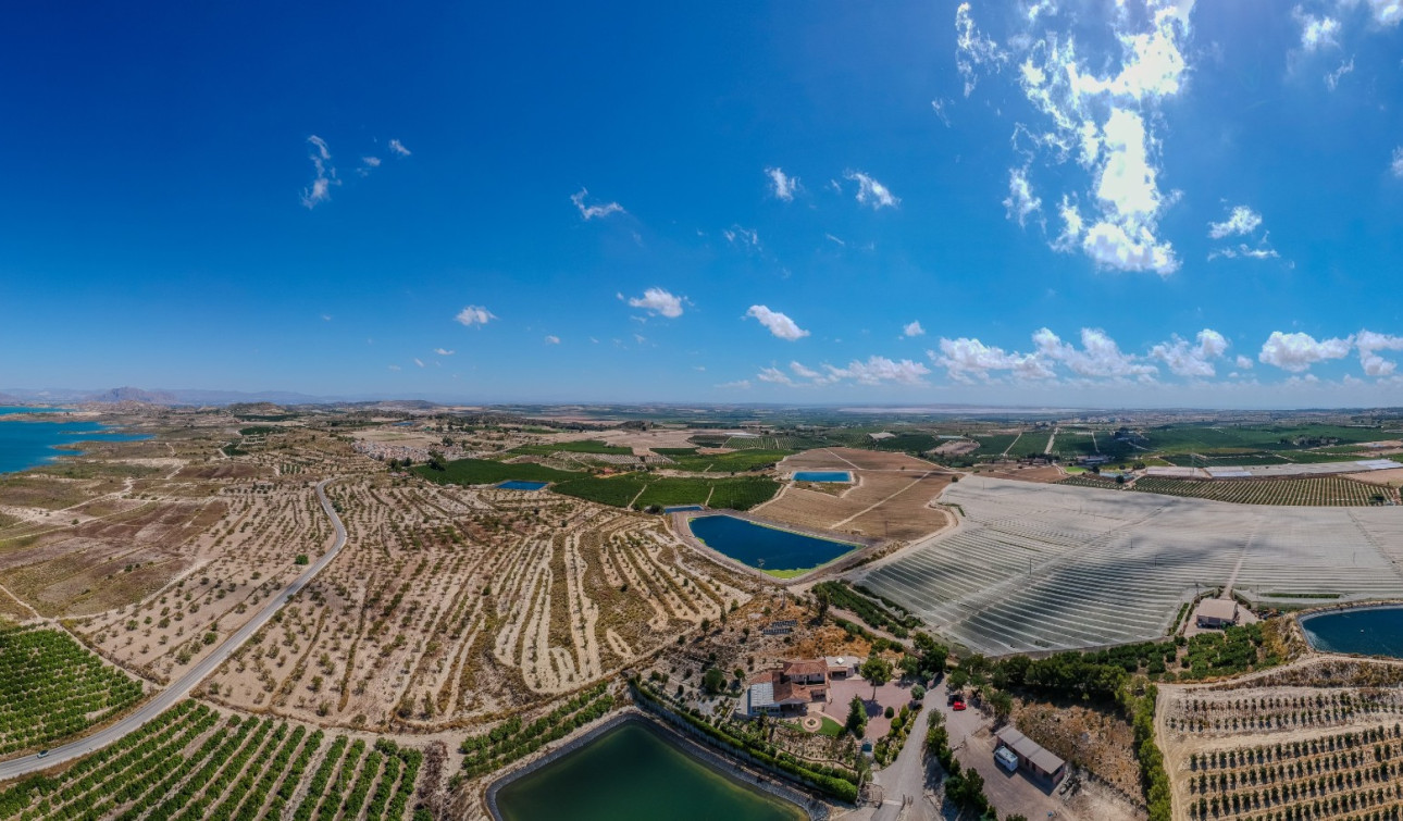 Reventa - Finca / Propiedad de Campo - San Miguel de Salinas - Torremendo