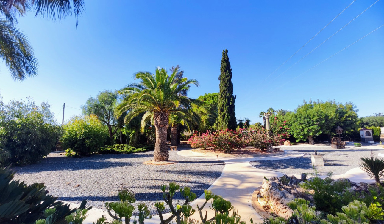 Reventa - Finca / Propiedad de Campo - San Miguel de Salinas