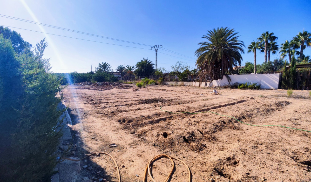 Reventa - Finca / Propiedad de Campo - San Miguel de Salinas