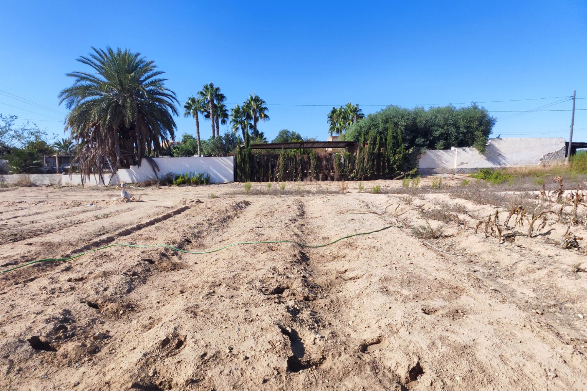 Reventa - Finca / Propiedad de Campo - San Miguel de Salinas