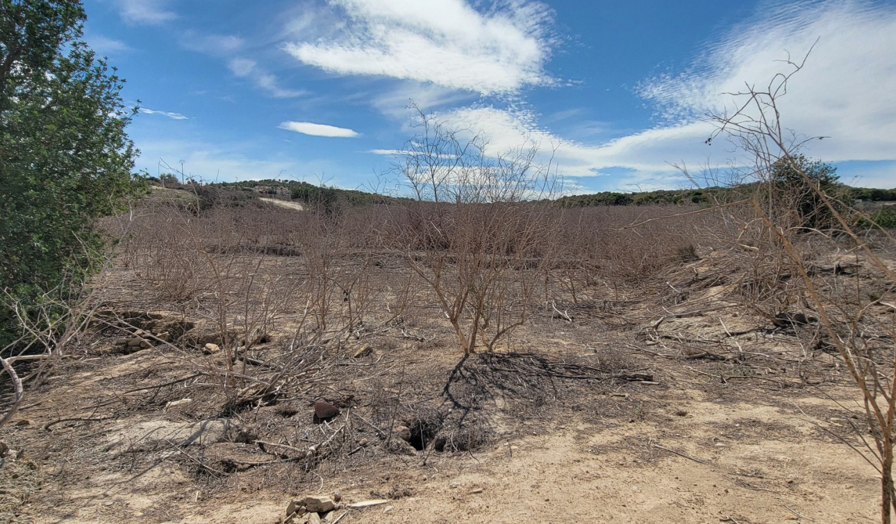 Reventa - Finca / Propiedad de Campo - San Miguel de Salinas
