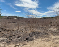 Reventa - Finca / Propiedad de Campo - San Miguel de Salinas