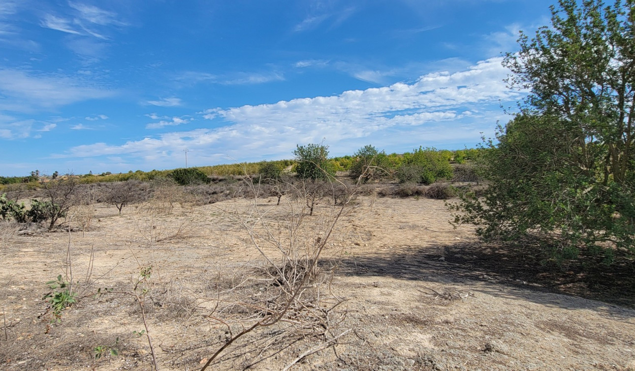 Reventa - Finca / Propiedad de Campo - San Miguel de Salinas