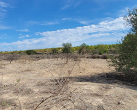 Reventa - Finca / Propiedad de Campo - San Miguel de Salinas