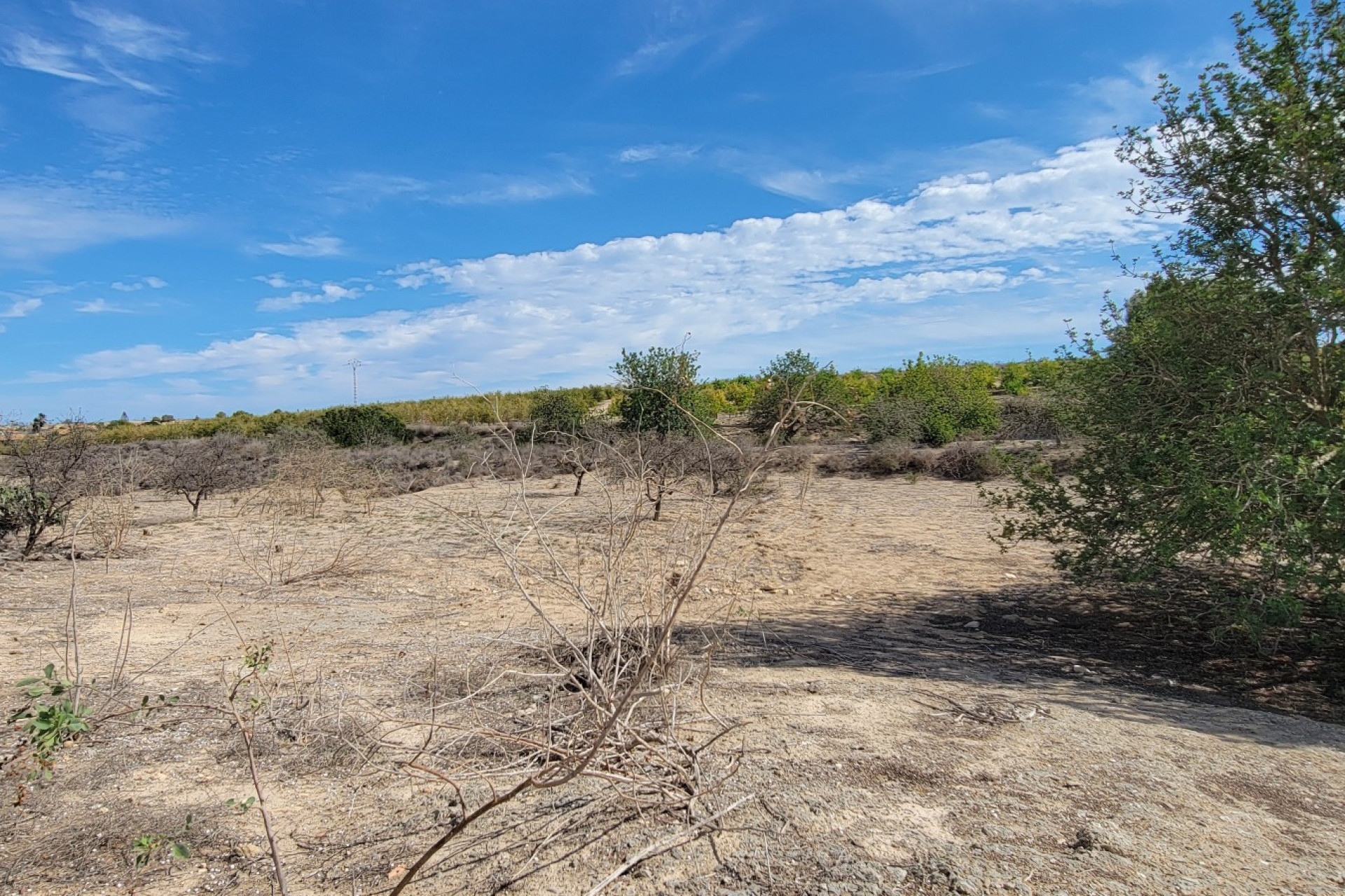 Reventa - Finca / Propiedad de Campo - San Miguel de Salinas