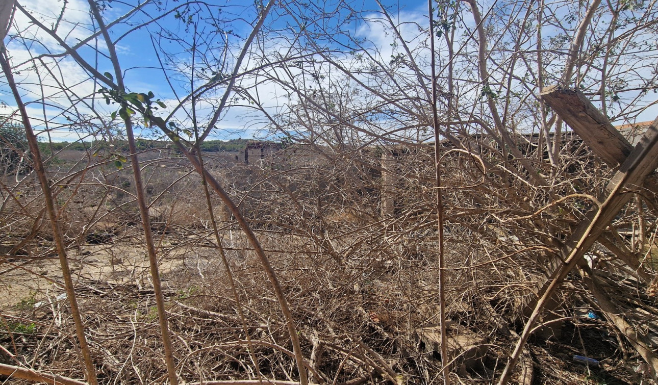 Reventa - Finca / Propiedad de Campo - San Miguel de Salinas