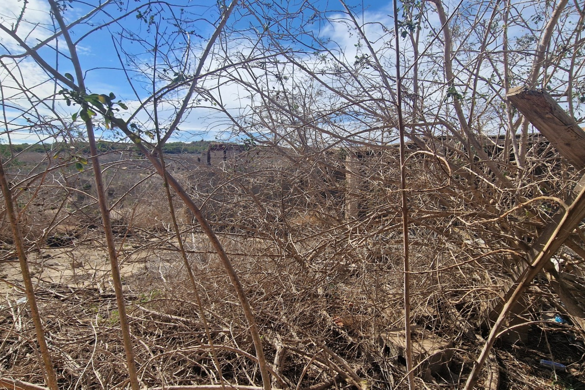 Reventa - Finca / Propiedad de Campo - San Miguel de Salinas
