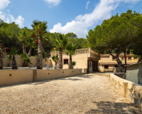 Reventa - Finca / Propiedad de Campo - Torremendo