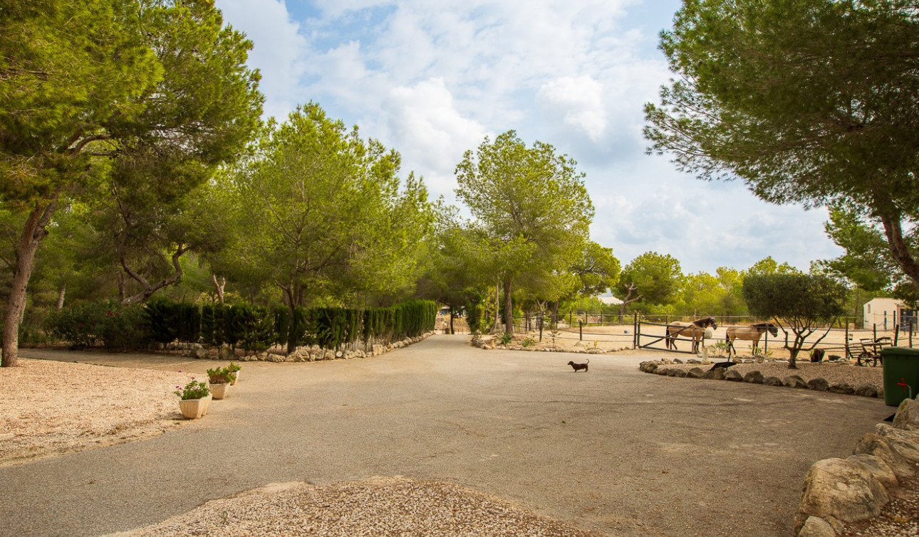 Reventa - Finca / Propiedad de Campo - Torremendo