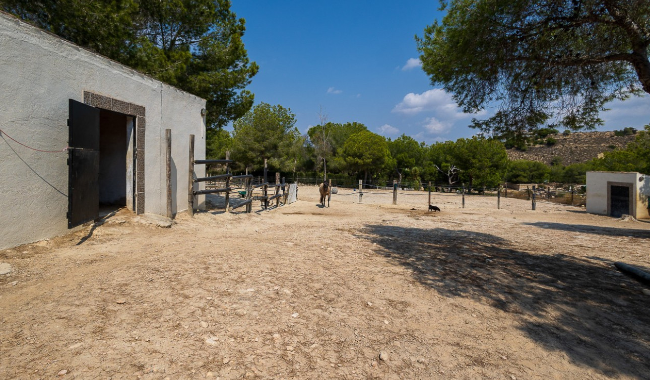 Reventa - Finca / Propiedad de Campo - Torremendo