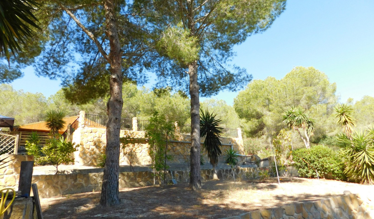 Reventa - Finca / Propiedad de Campo - Torremendo