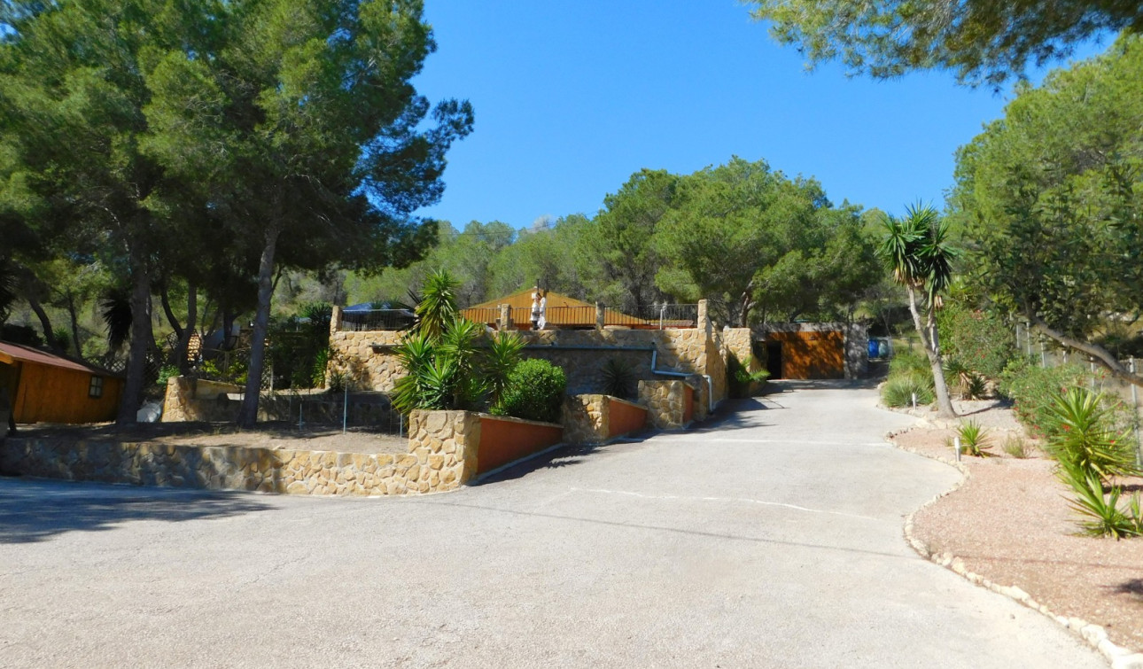 Reventa - Finca / Propiedad de Campo - Torremendo