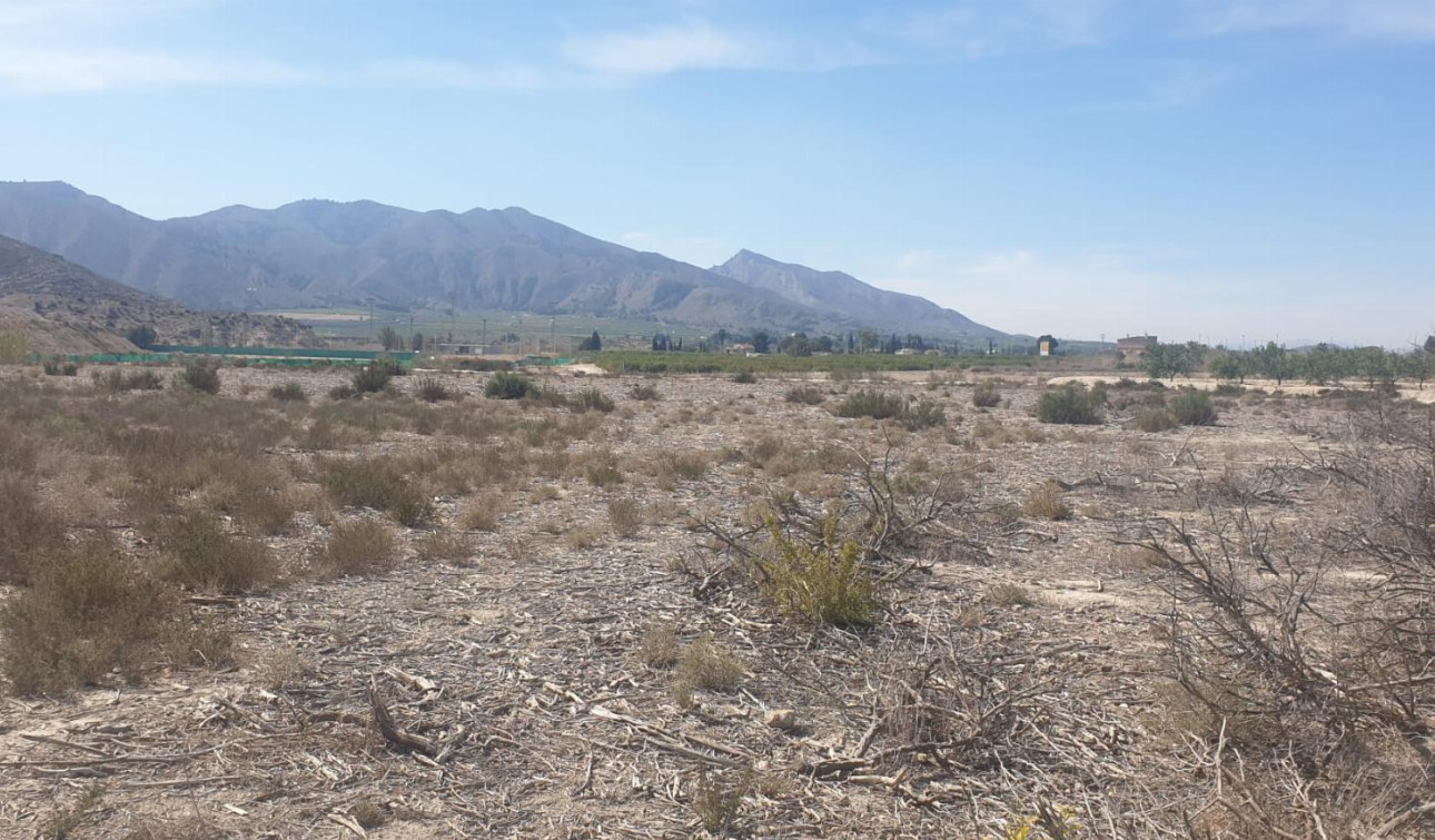 Reventa - Parcela / Terreno - Benferri - HUERTA PUEBLO