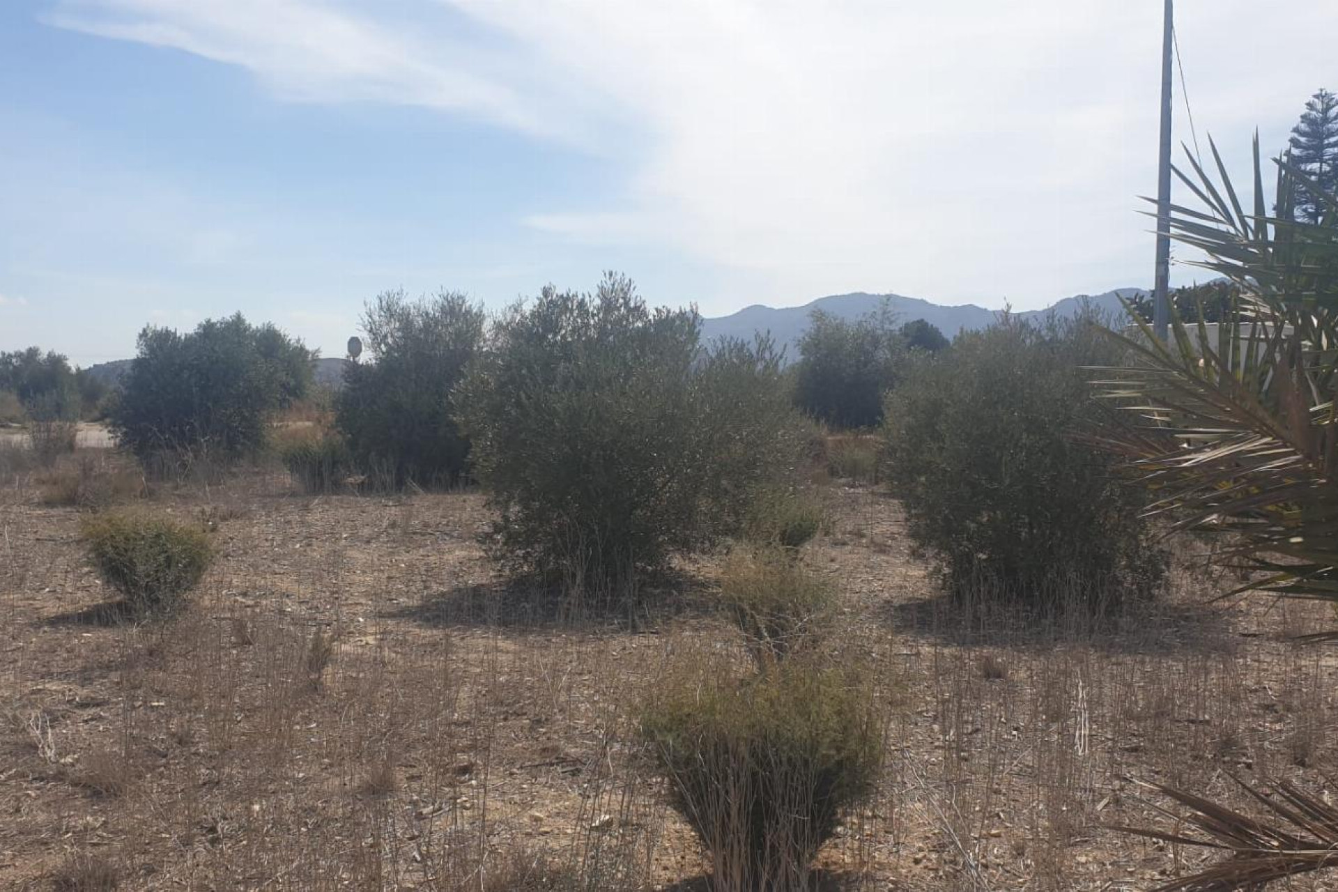 Reventa - Parcela / Terreno - Benferri - HUERTA PUEBLO