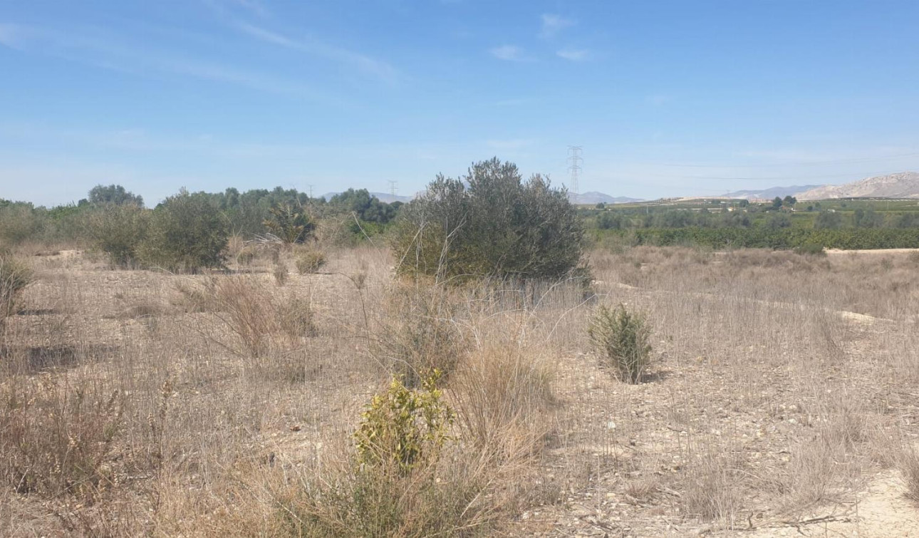 Reventa - Parcela / Terreno - Benferri - HUERTA PUEBLO