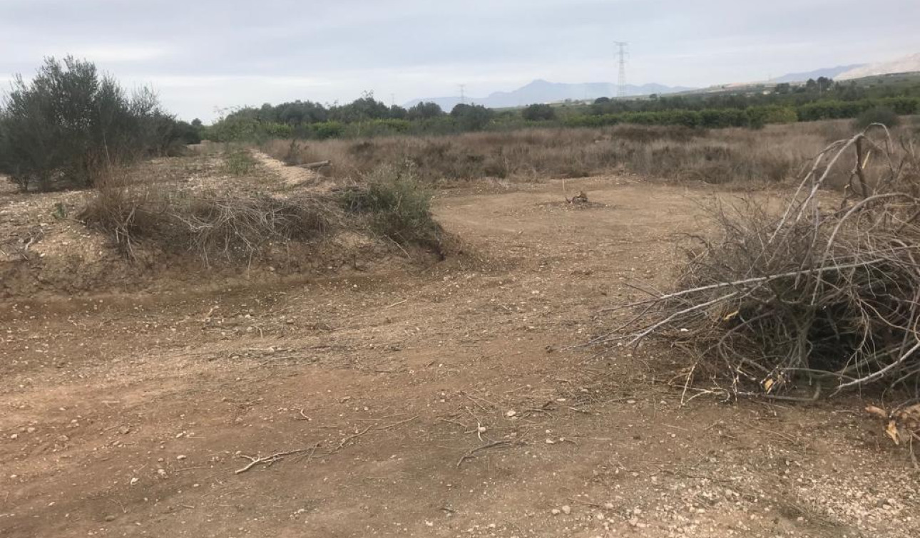 Reventa - Parcela / Terreno - Benferri - HUERTA PUEBLO