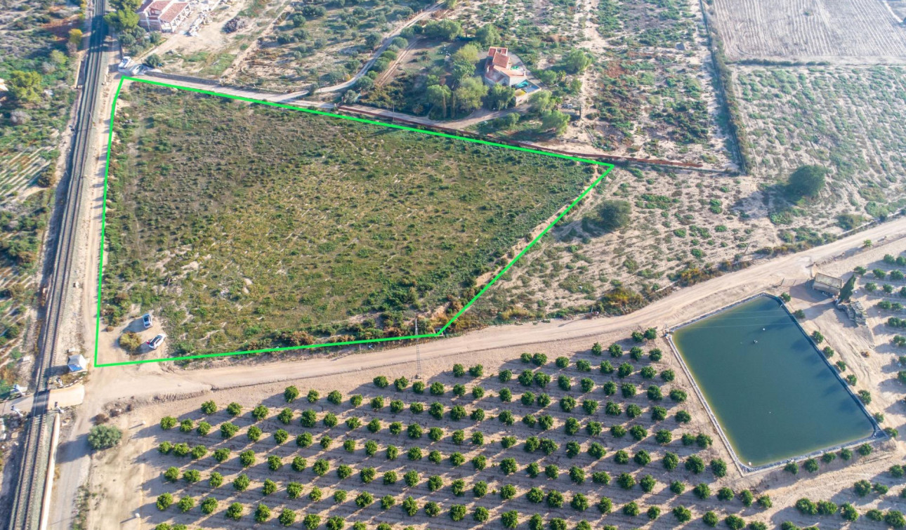 Reventa - Parcela / Terreno - Crevillente - Comunidad valenciana