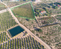 Reventa - Parcela / Terreno - Crevillente - Comunidad valenciana