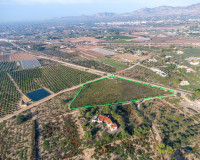 Reventa - Parcela / Terreno - Crevillente - Comunidad valenciana