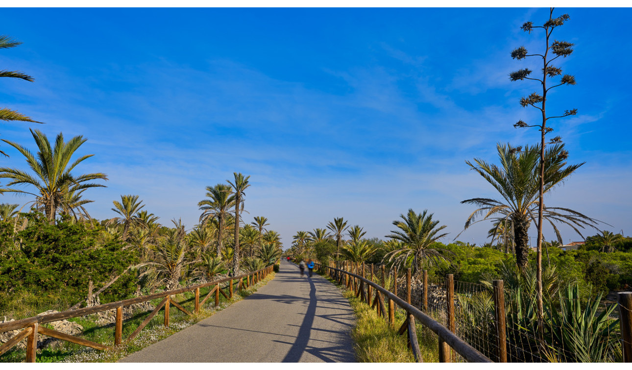 Reventa - Parcela / Terreno - Guardamar del Segura