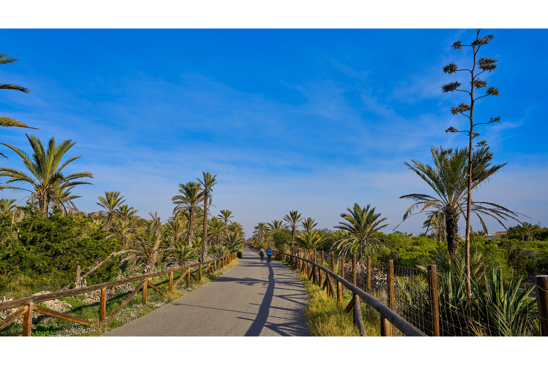 Reventa - Parcela / Terreno - Guardamar del Segura