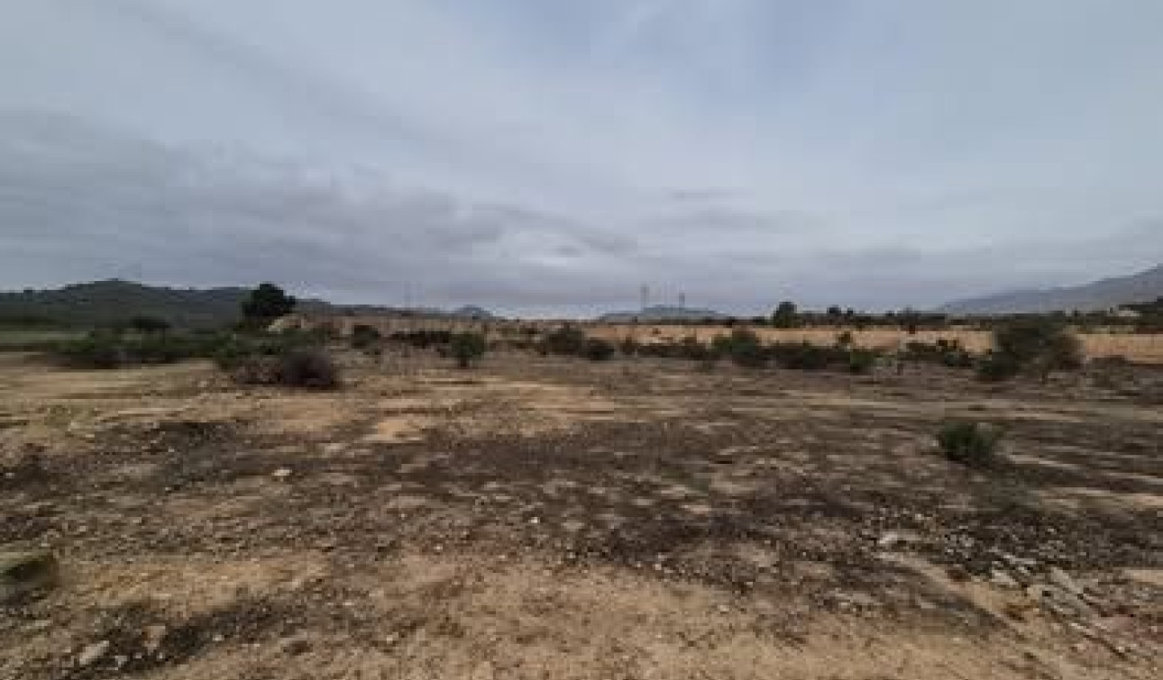 Reventa - Parcela / Terreno - Hondón de las Nieves