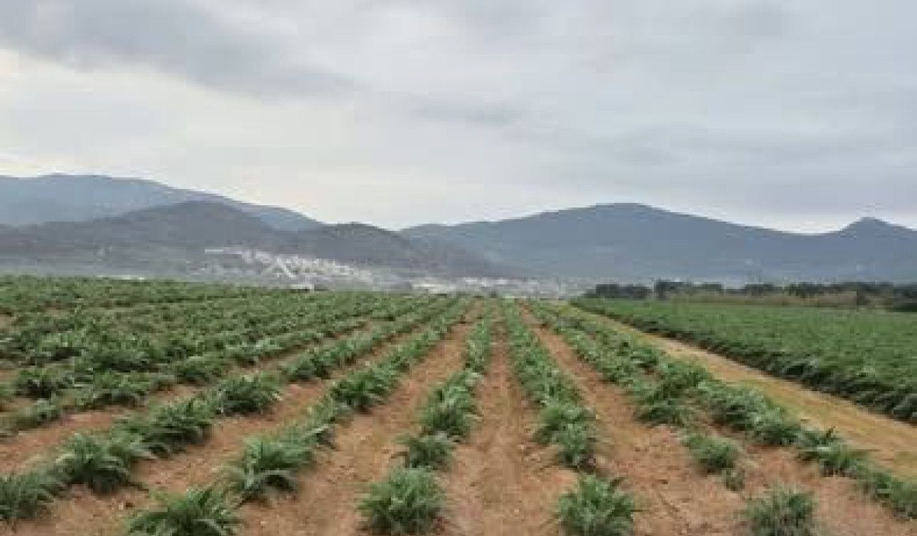 Reventa - Parcela / Terreno - Hondón de las Nieves