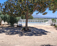 Reventa - Parcela / Terreno - Orihuela - MONTEPINAR-LA MATANZA