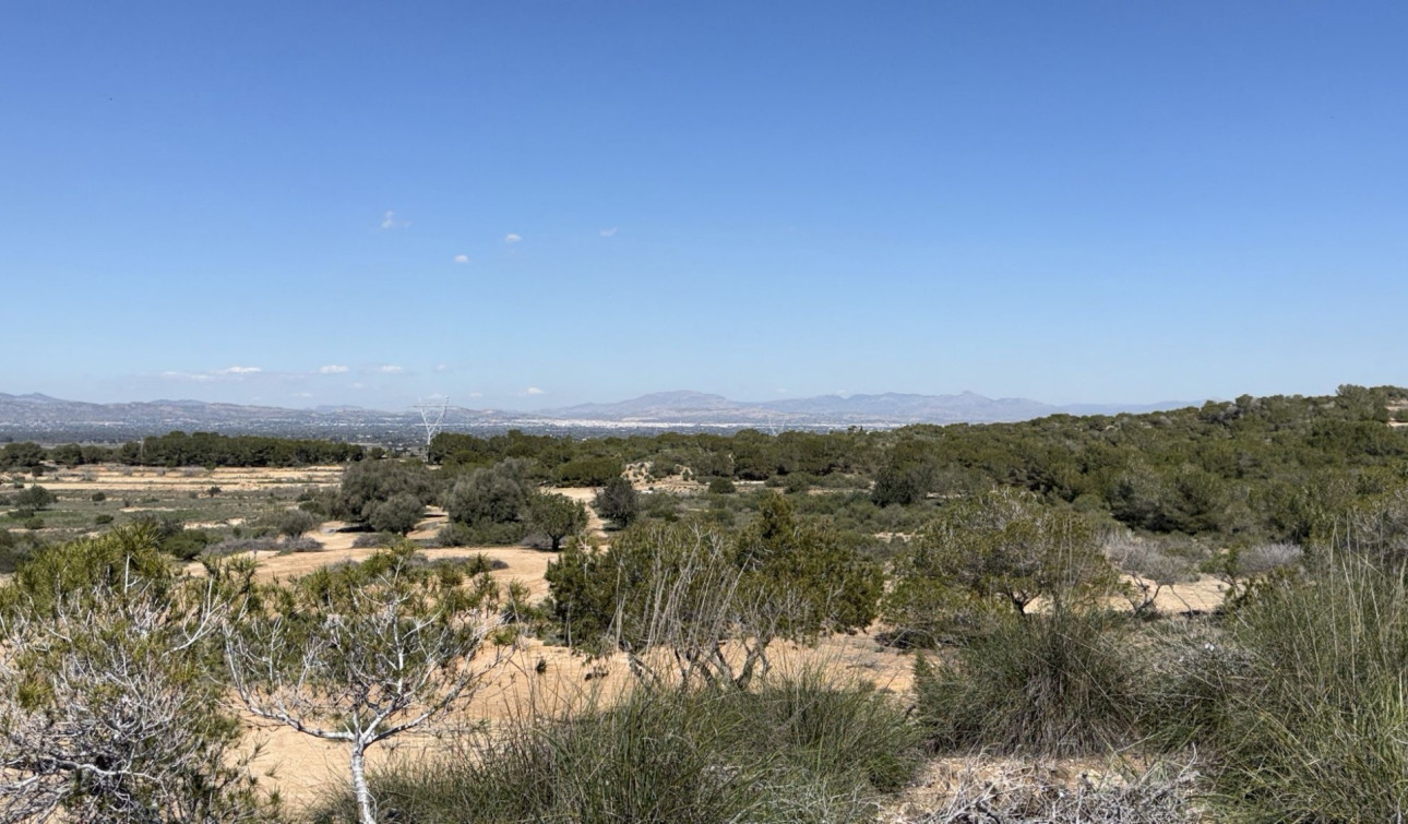 Reventa - Parcela / Terreno - San Fulgencio - La Marina