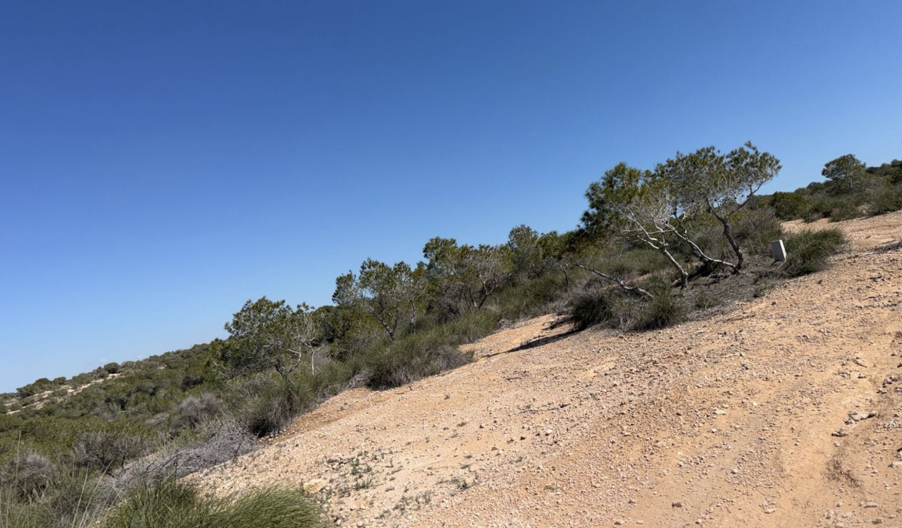Reventa - Parcela / Terreno - San Fulgencio - La Marina