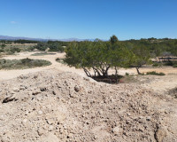 Reventa - Parcela / Terreno - San Fulgencio - La Marina