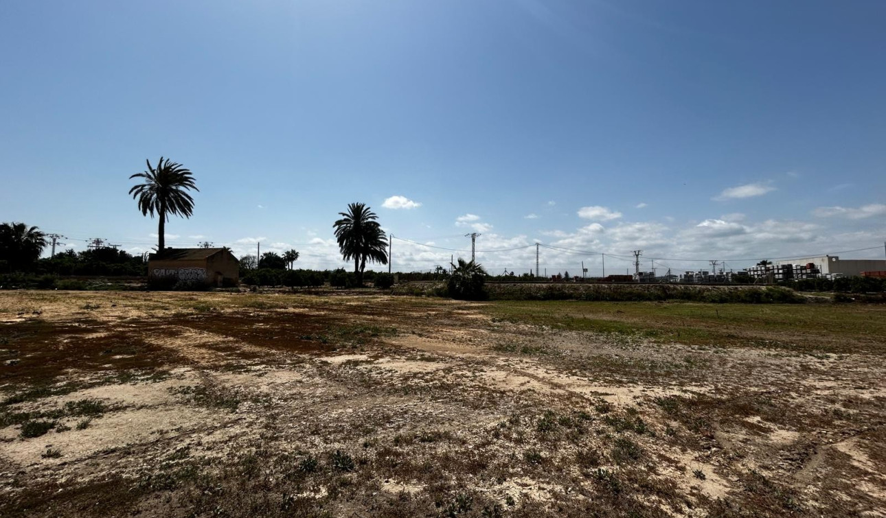 Reventa - Parcela / Terreno - San Miguel de Salinas - San Miguel Salinas
