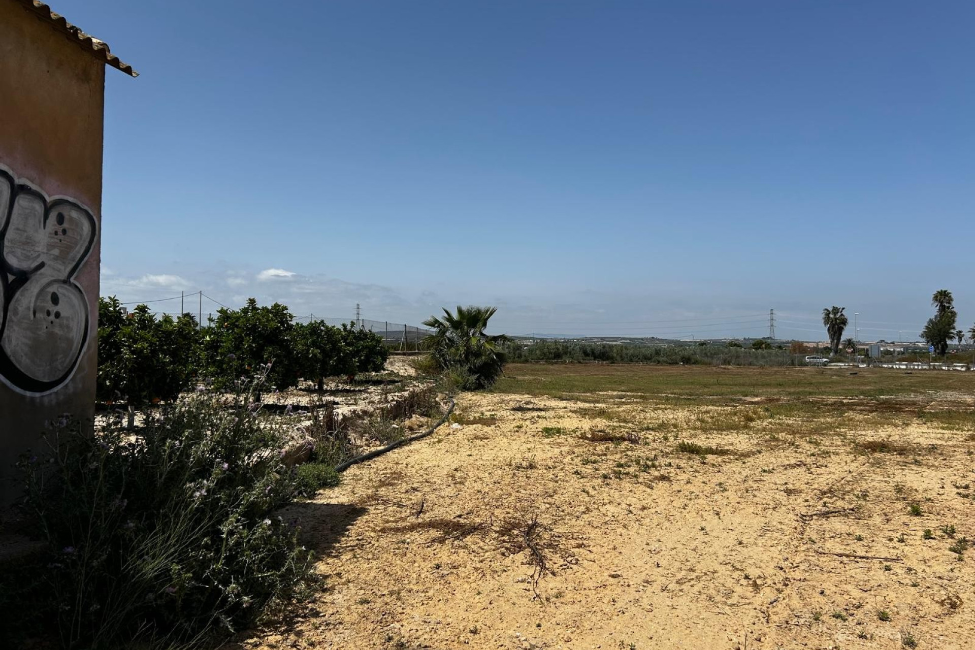 Reventa - Parcela / Terreno - San Miguel de Salinas - San Miguel Salinas