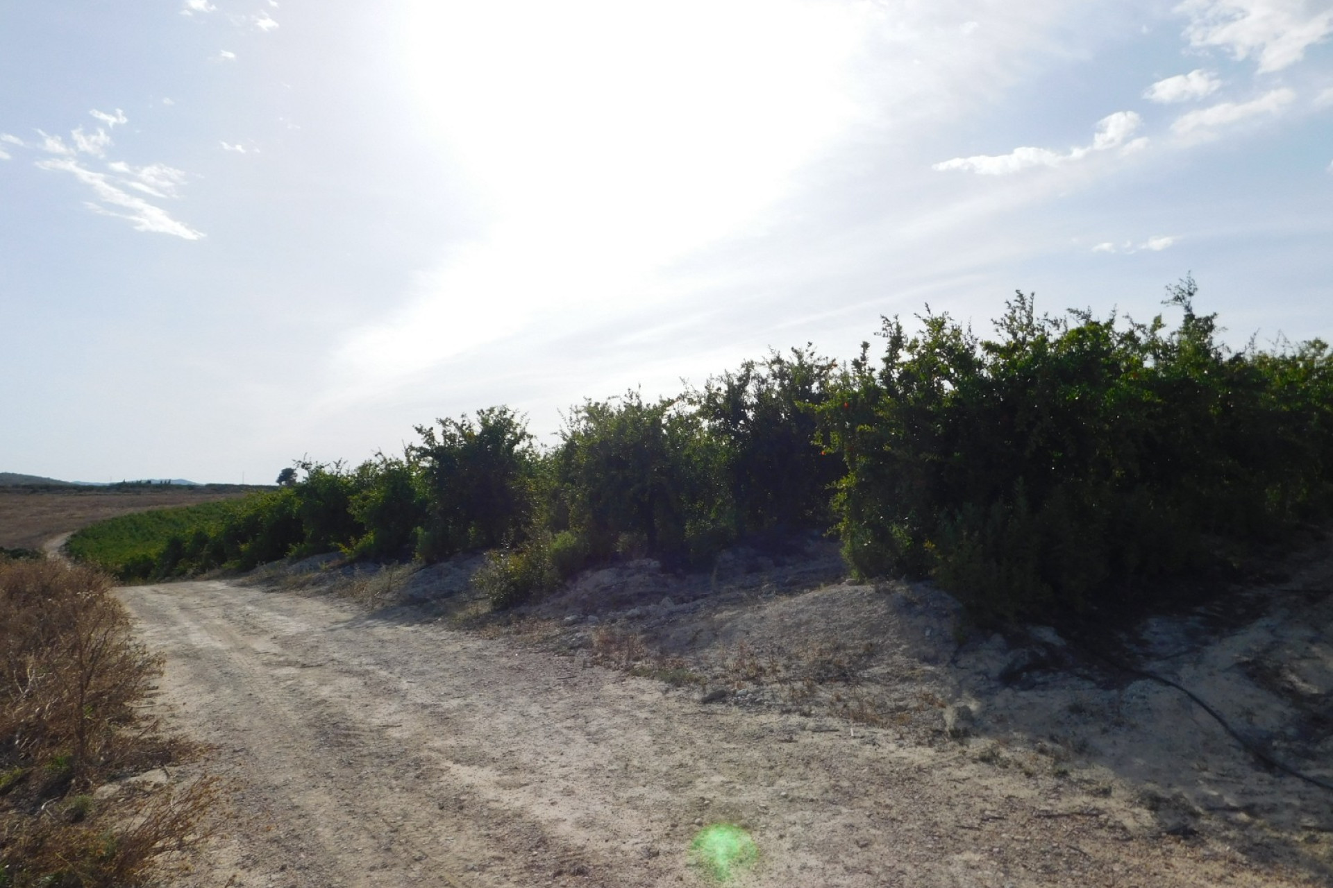 Reventa - Parcela / Terreno - Torremendo