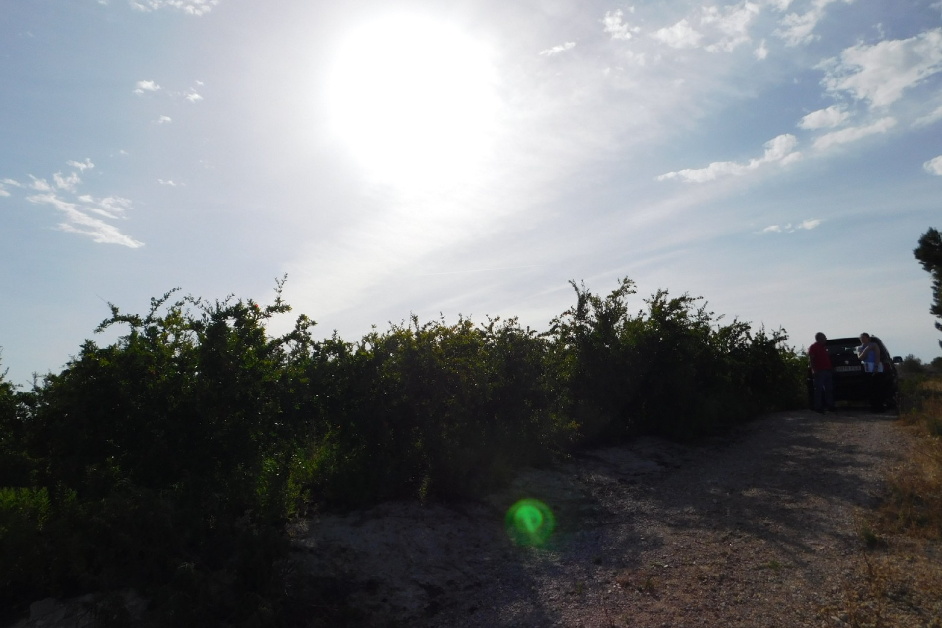 Reventa - Parcela / Terreno - Torremendo