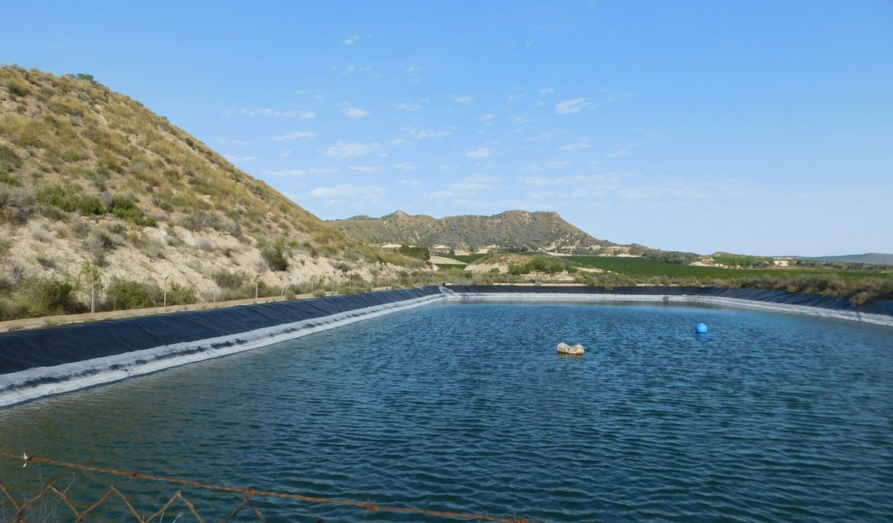 Reventa - Parcela / Terreno - Torremendo