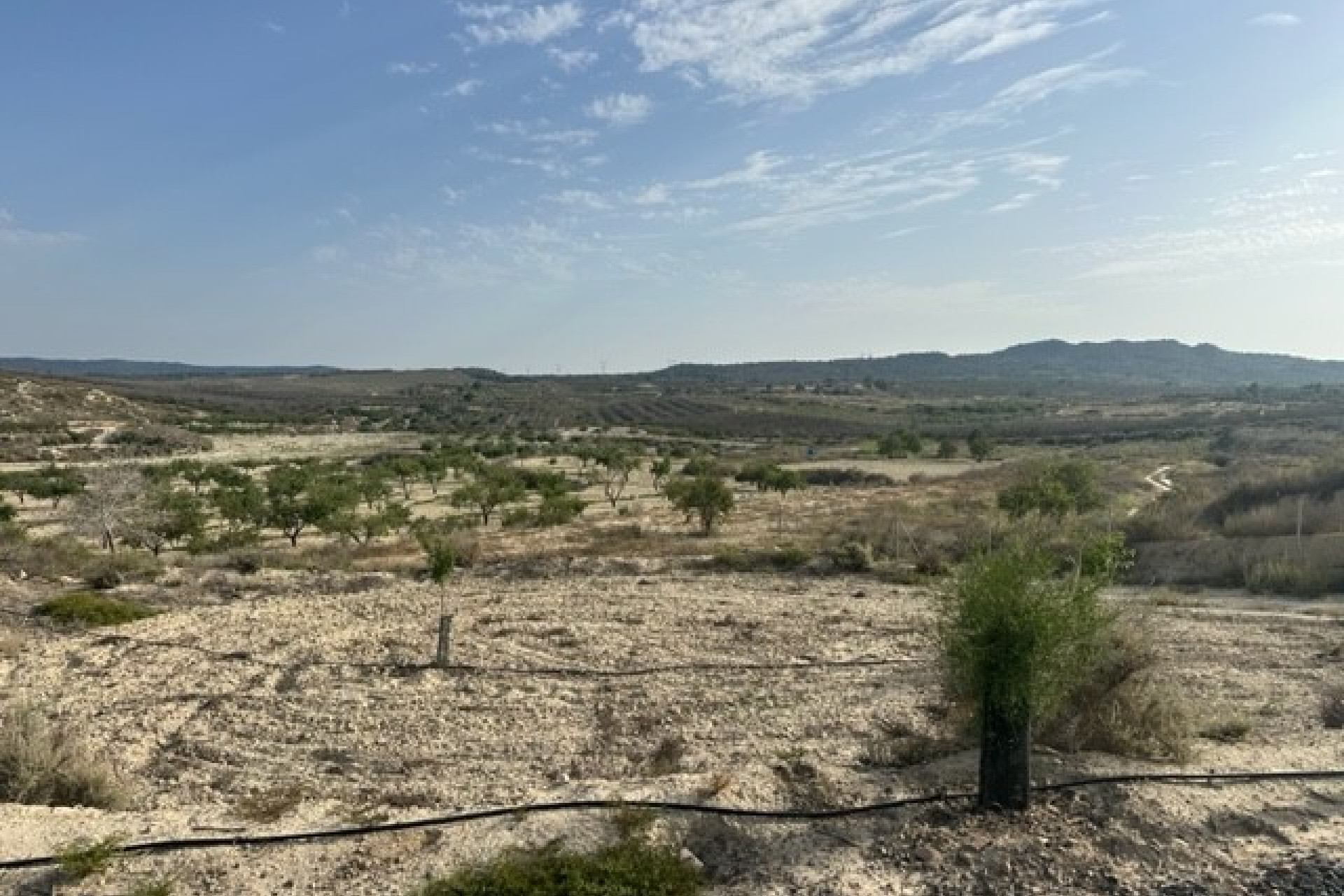 Reventa - Parcela / Terreno - Torremendo