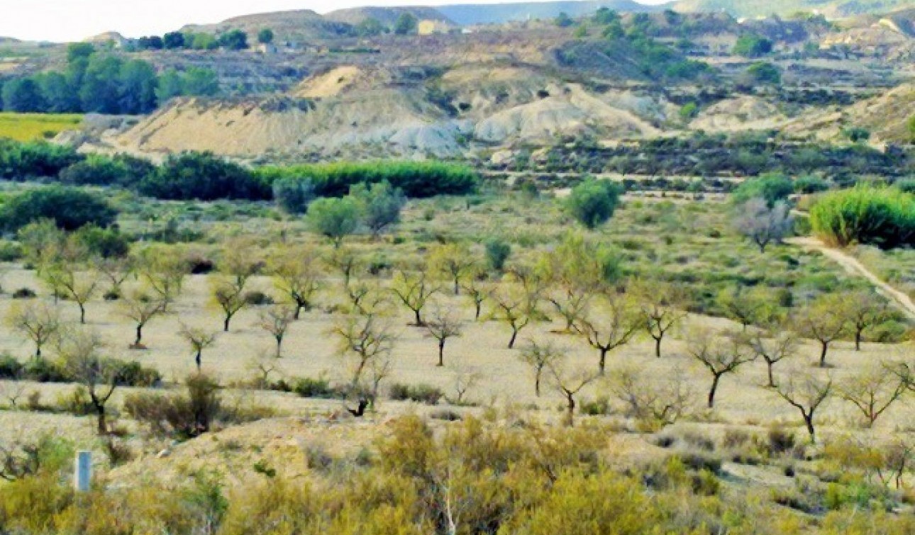 Reventa - Parcela / Terreno - Torremendo