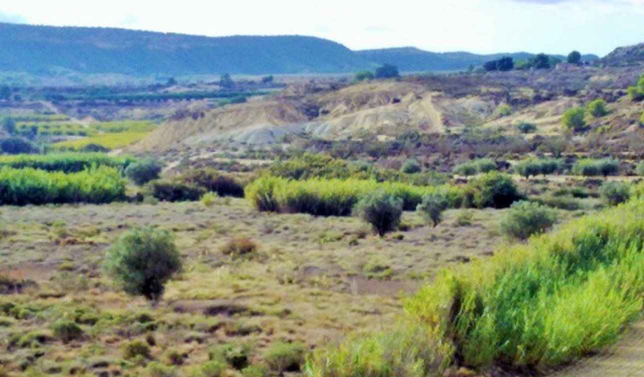 Reventa - Parcela / Terreno - Torremendo