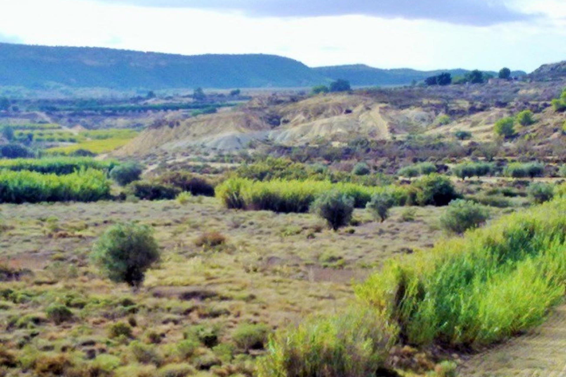 Reventa - Parcela / Terreno - Torremendo