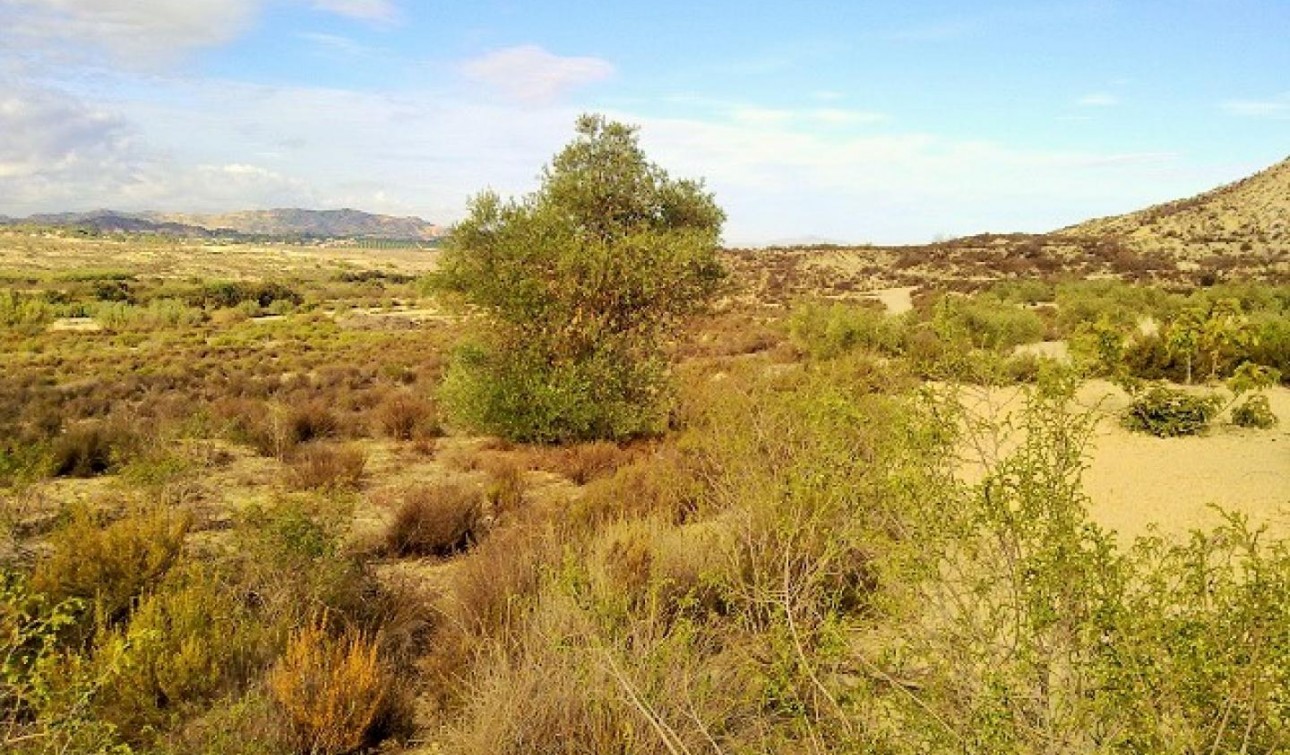 Reventa - Parcela / Terreno - Torremendo