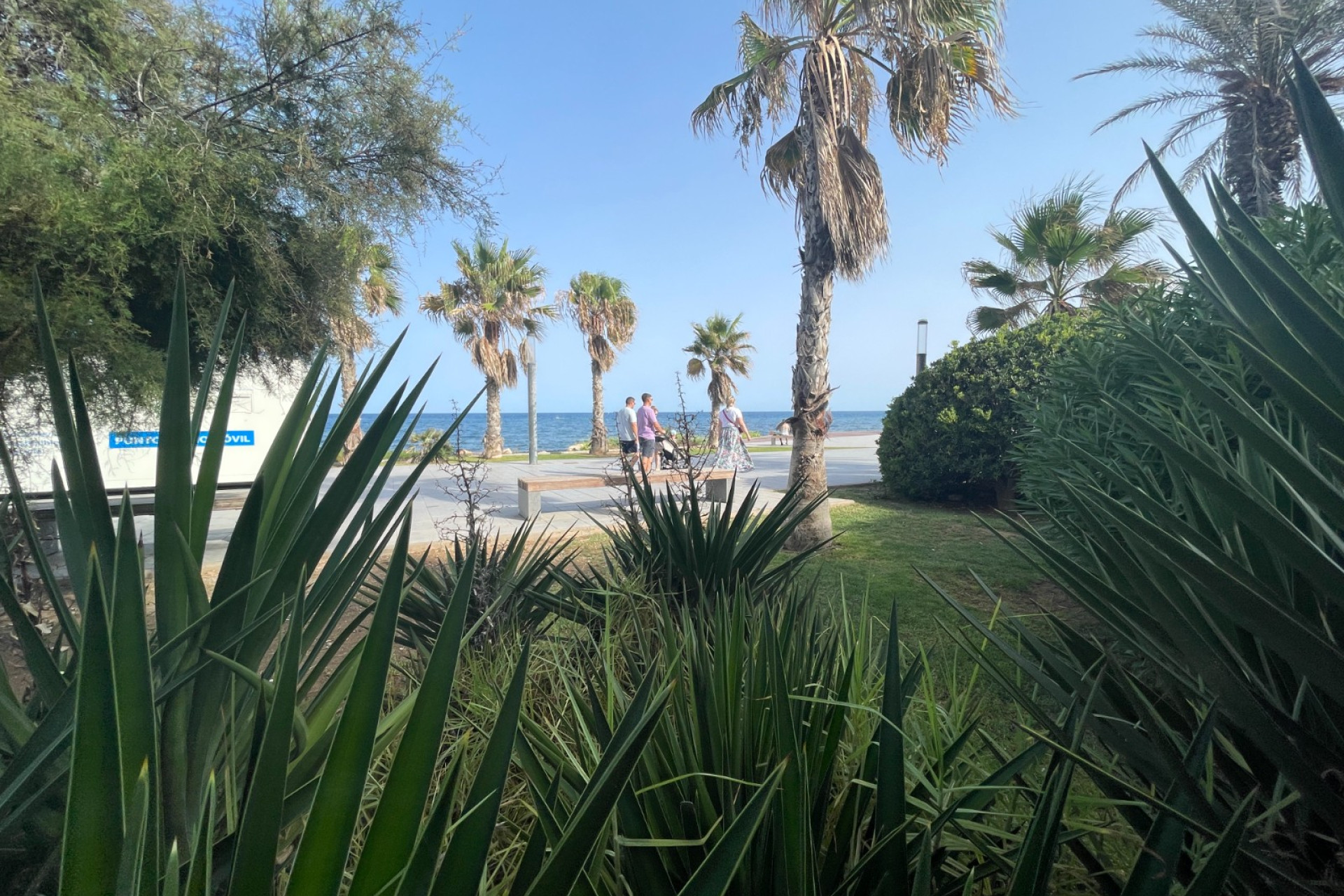Reventa - Unidad Comercial - Torrevieja - Comunidad Valenciana