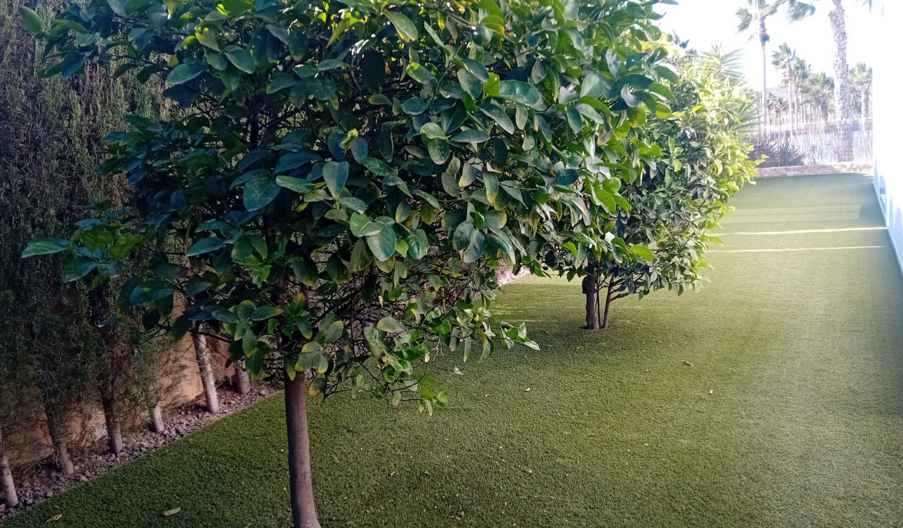 Reventa - Villa independiente - Algorfa - La Finca Golf